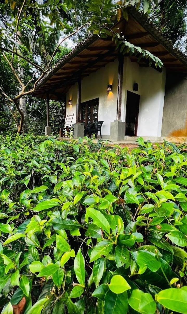 Bed and Breakfast Leisure Land Galle Habitación foto