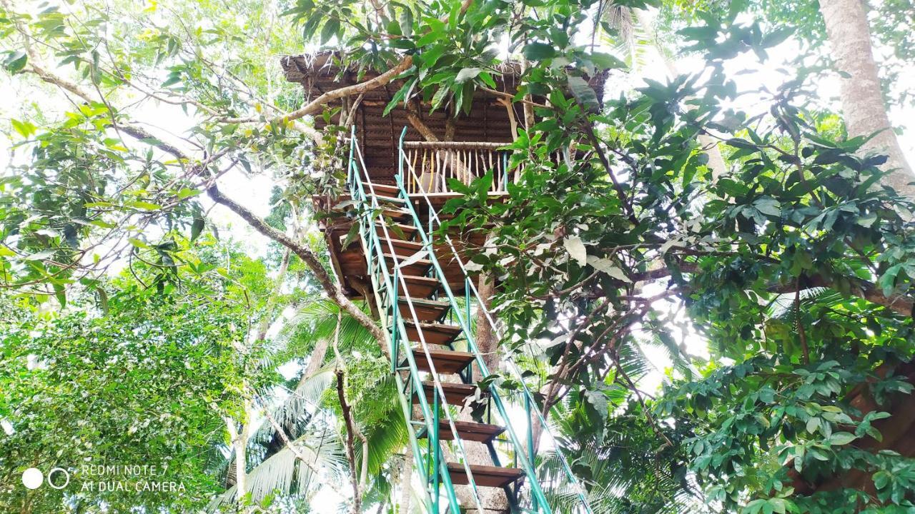 Bed and Breakfast Leisure Land Galle Exterior foto
